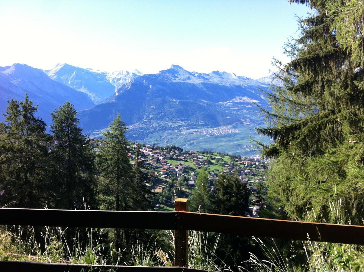 Greppon Blanc A2 Lejlighed Nendaz Eksteriør billede